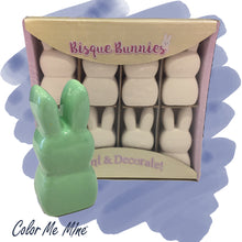 Load image into Gallery viewer, Bisque Bunnies Kit
